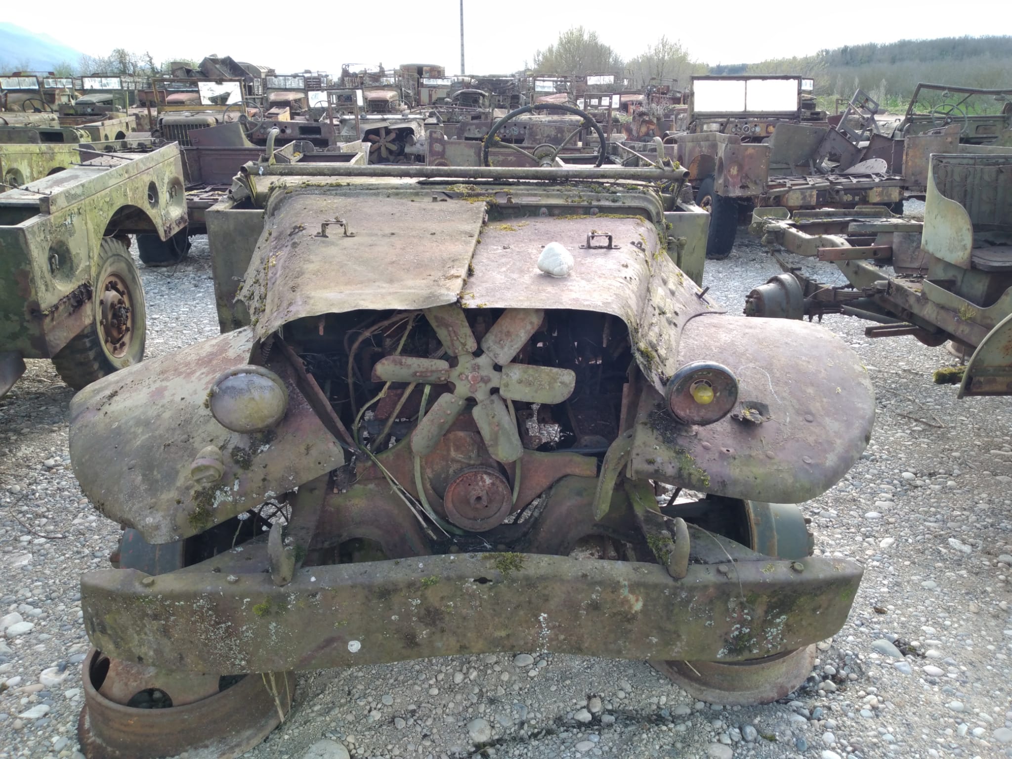 DODGE WC 51